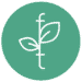 logo for functional telemedicine, an online health coaching and information service with Dr Jamie Ellis, DC and Dr Judith Johanne Torstvedt, DC for diabetes, heart disease, cancer, inflammation, autoimmune conditions, neurodegenerative disorders, weight loss and other chronic illness or disease