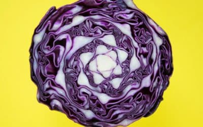 Simple Sauerkraut Recipe For Your Best Health