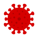 Picture of a coronavirus