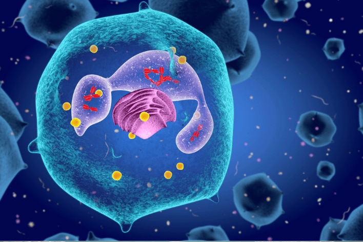 Long COVID cell recovery Picture of an immune cell in Long COVID recovery