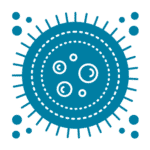 Picture of a mast cell which is an immune cell which releases histamine