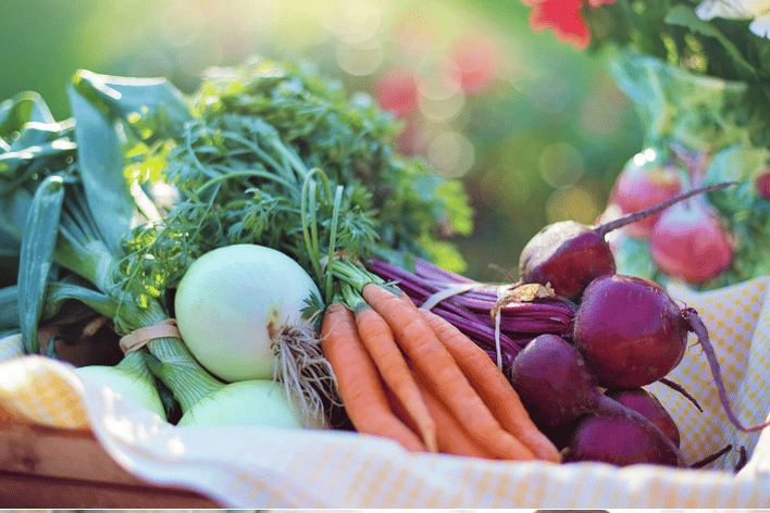 Food diet nutrition Long COVID Picture of healthy food which can help with Long COVID recovery