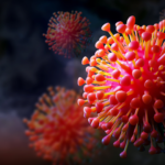 Picture of a SARS-COV-2 virus which can trigger autoimmunity in Long COVID