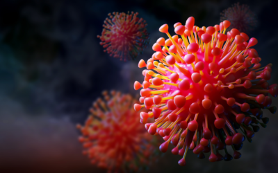 Autoimmunity is a Hallmark of Long COVID