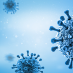 Image of a virus such as EBV or HSV6 which can be reactivated by SARS-COV-2 and contribute to Long COVID/PASC